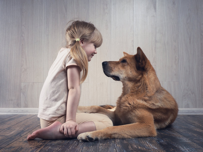 young girl and dog looking at each other