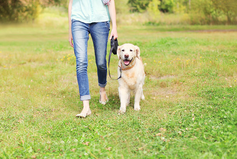woman barefoot, walking dog on leash in grass