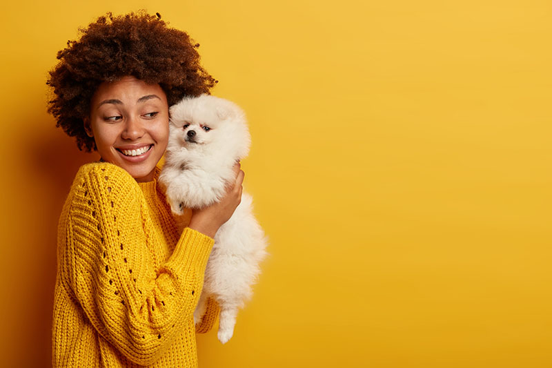 woman holding dog against cheek, yellow background