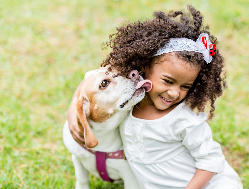 adopted dog licking young girl's face in yard