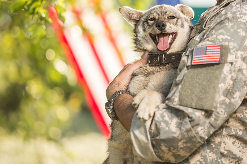 military officer with dog and American flag