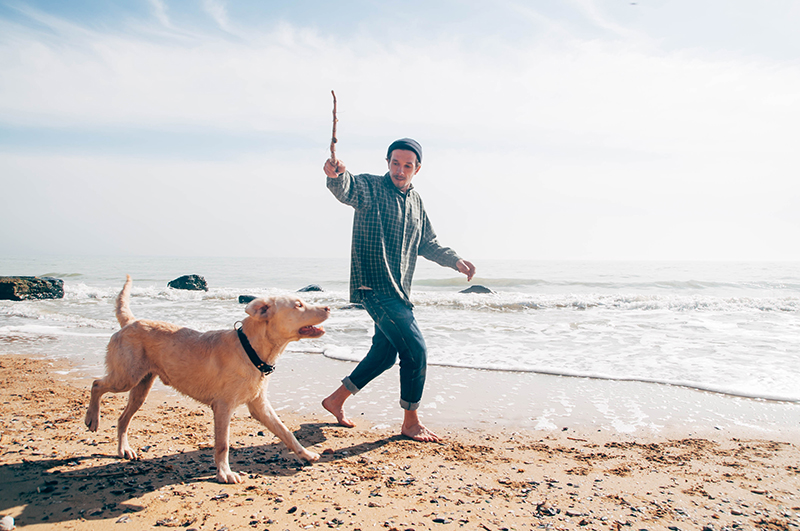 guy dog playing fetch stick beach