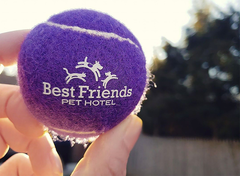 Best Friends Pet Hotel tennis ball