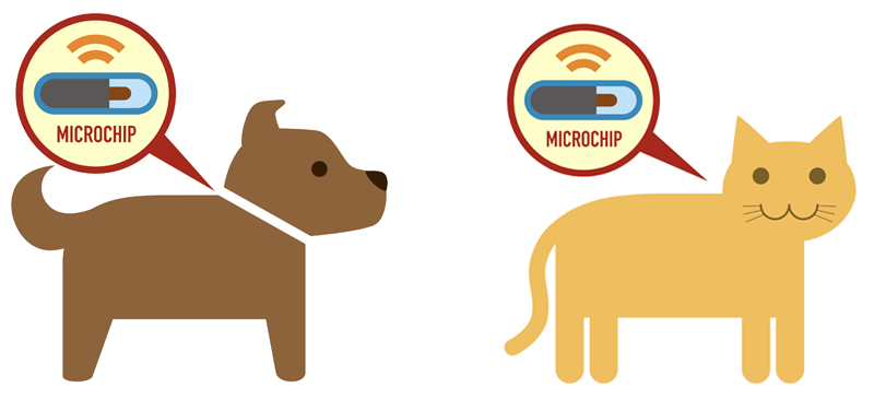 microchip, dog, cat