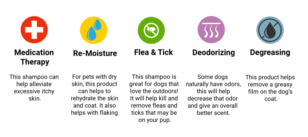 Dog and Cat Shampoo Types and When to Use Them