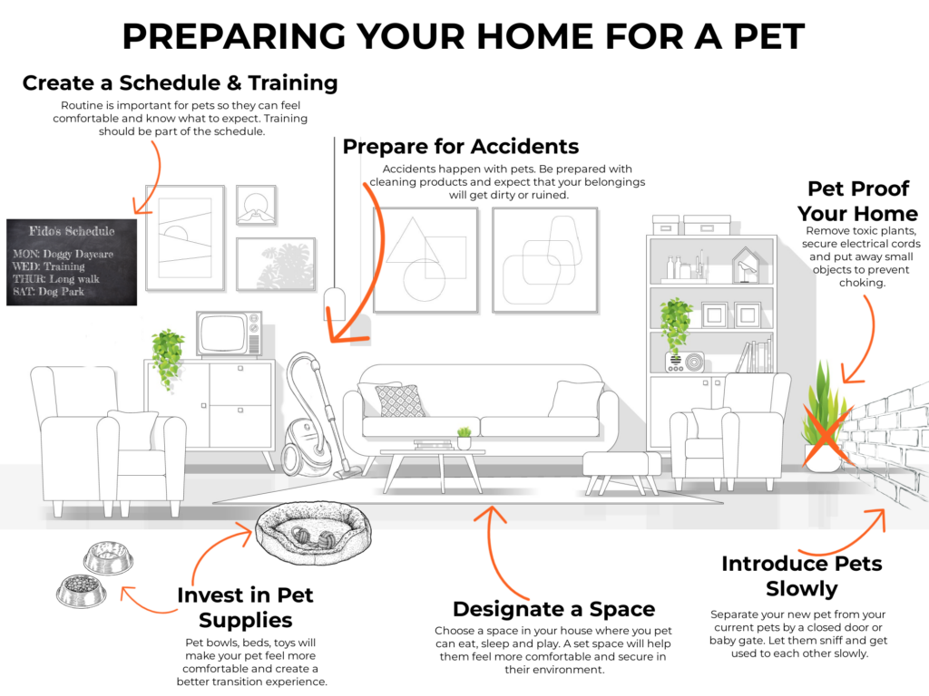How to Prepare Your Home for a New Pet