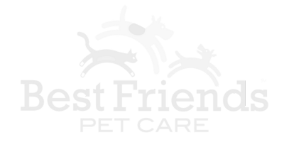 Best Friends Pet Care: Dog Boarding, Dog Daycare & Grooming Under One Roof